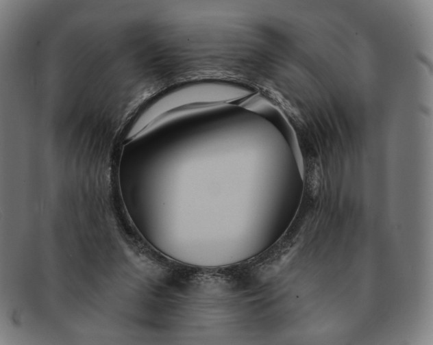 X0000091310207200708311403