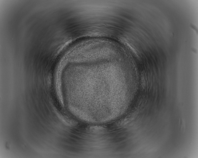 X0000091310208200708311403