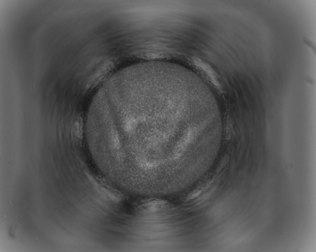 X0000091310210200708311403