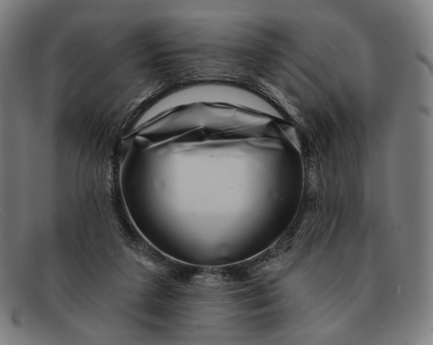 X0000091310211200708311403