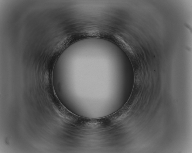 X0000091310213200708311403