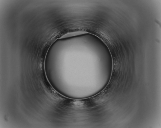 X0000091310214200708311403