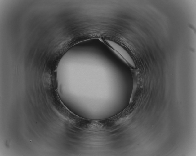 X0000091310215200708311403