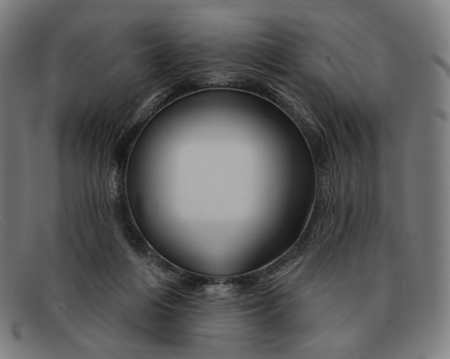 X0000091310216200708311403