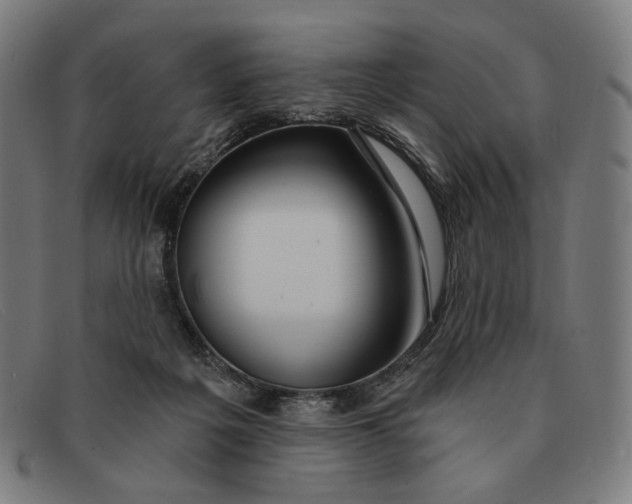 X0000091310217200708311403