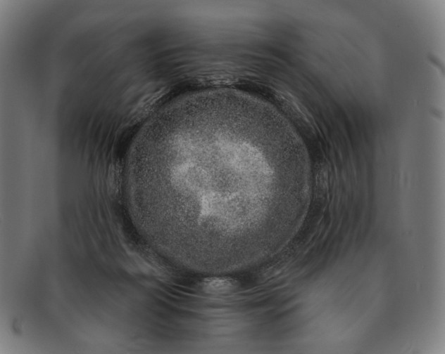 X0000091310218200708311403