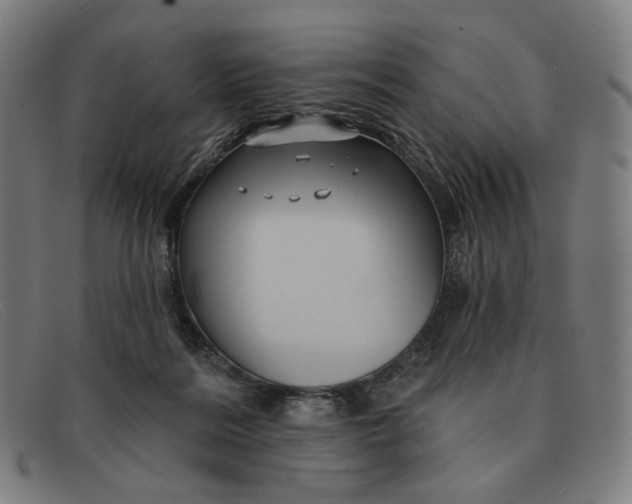 X0000091310220200708311403