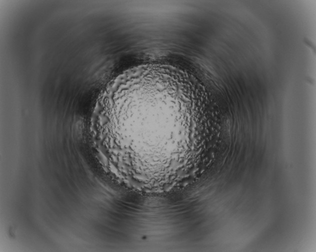 X0000091310222200708311403