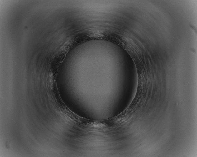 X0000091310223200708311403