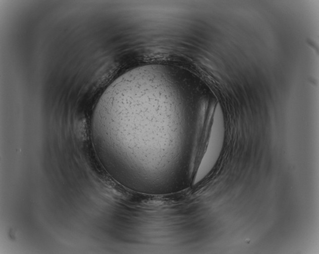 X0000091310224200708311403