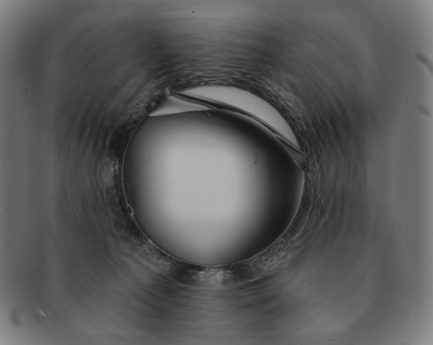 X0000091310225200708311403