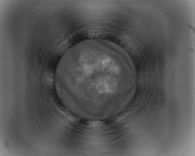 X0000091310226200708311403