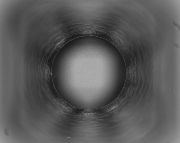 X0000091310228200708311403