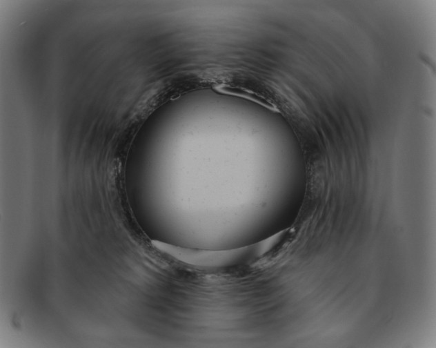 X0000091310229200708311403