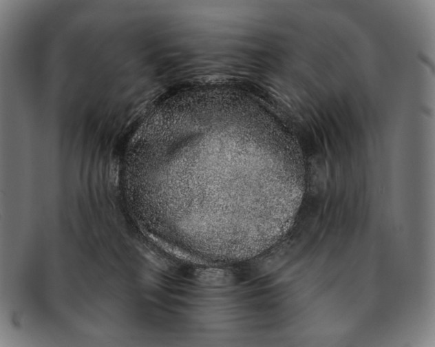 X0000091310230200708311403