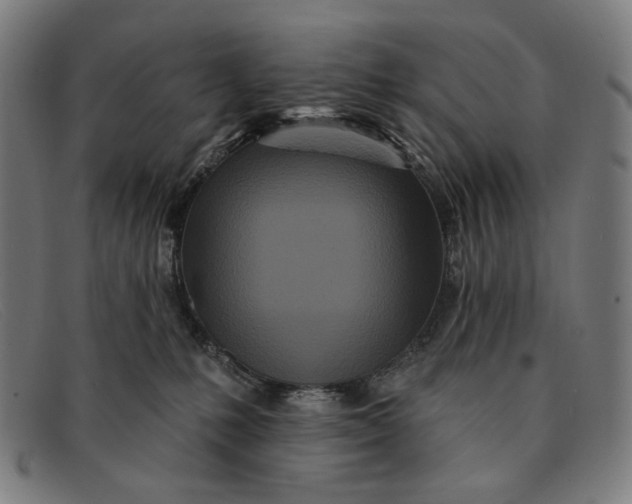 X0000091310231200708311403