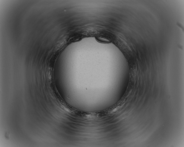 X0000091310232200708311403