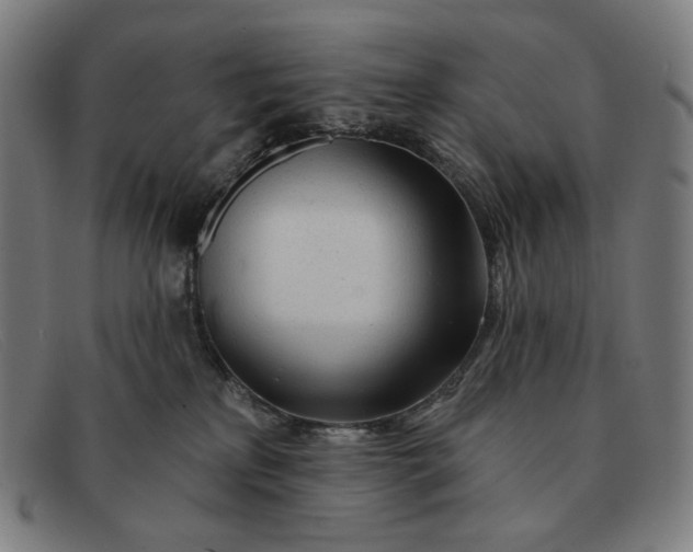 X0000091310233200708311403