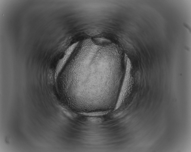 X0000091310234200708311403