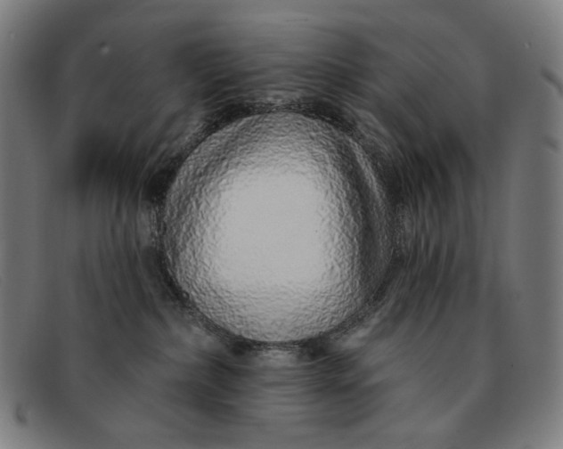 X0000091310236200708311403