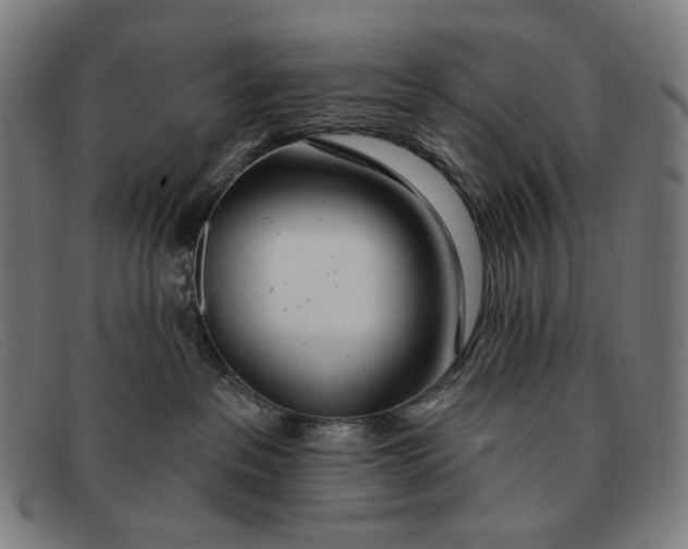 X0000091310237200708311403