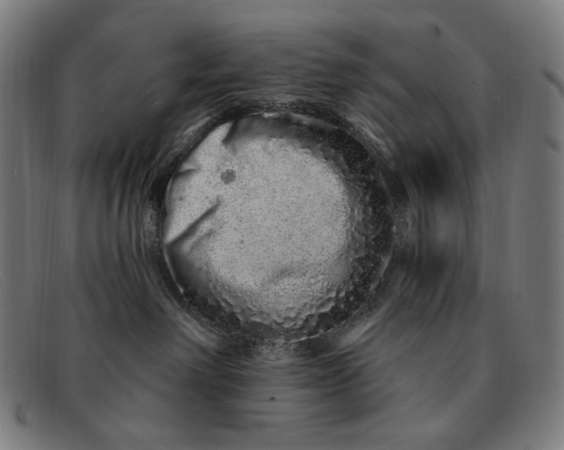 X0000091310238200708311403