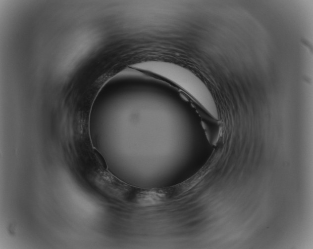 X0000091310239200708311403