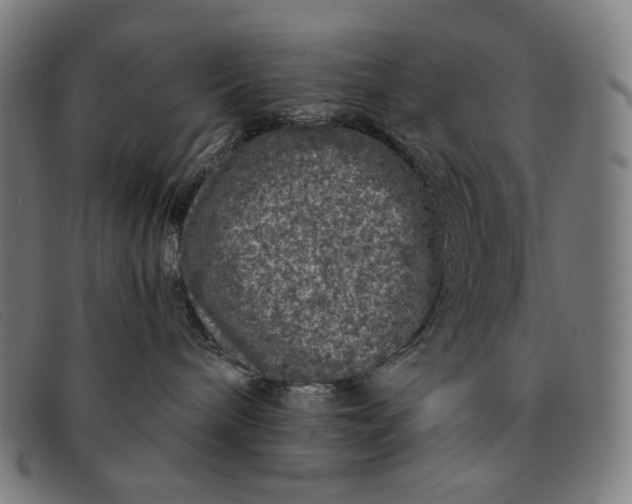 X0000091310240200708311403