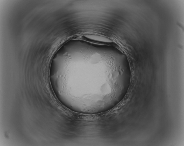 X0000091310241200708311402