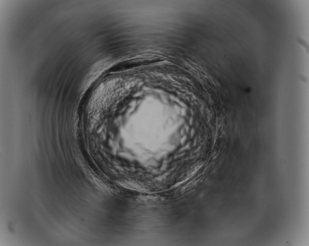 X0000091310242200708311402