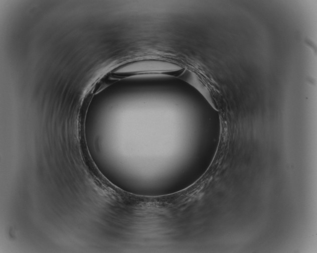 X0000091310244200708311402