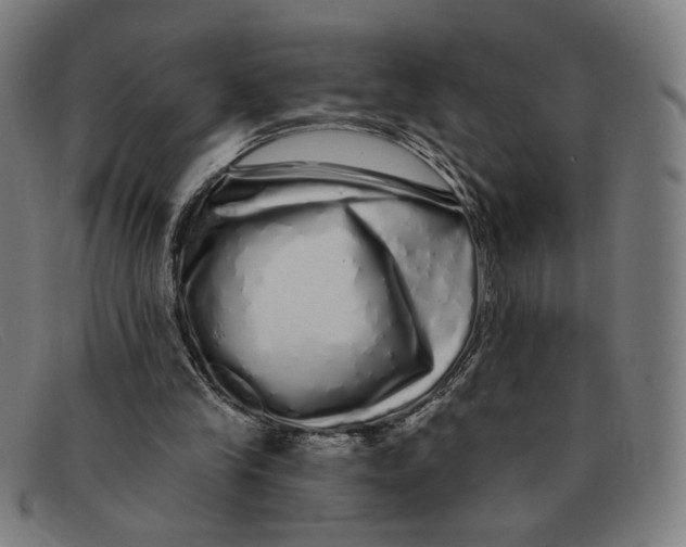 X0000091310245200708311402