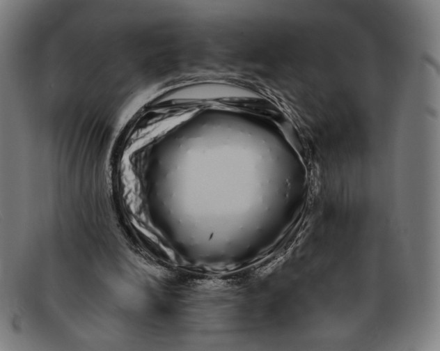 X0000091310246200708311402