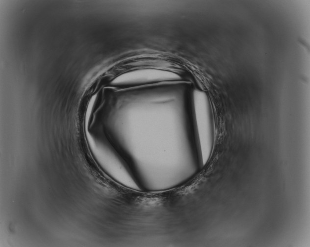 X0000091310247200708311402