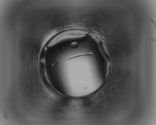 X0000091310248200708311402