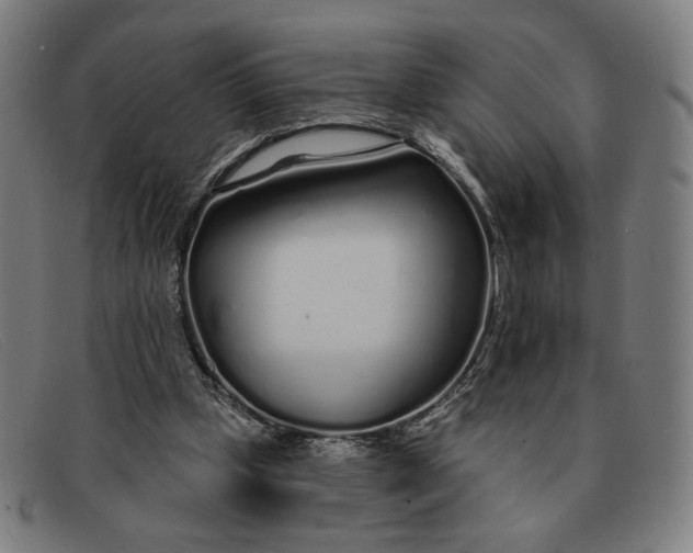 X0000091310249200708311402