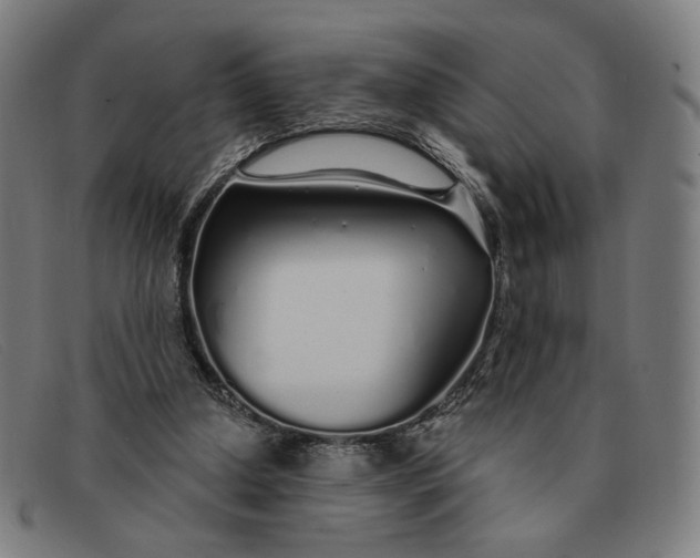 X0000091310250200708311402