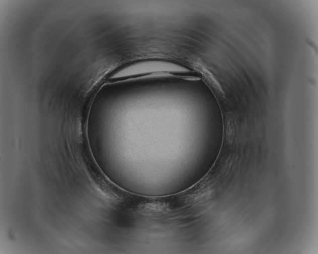 X0000091310251200708311402