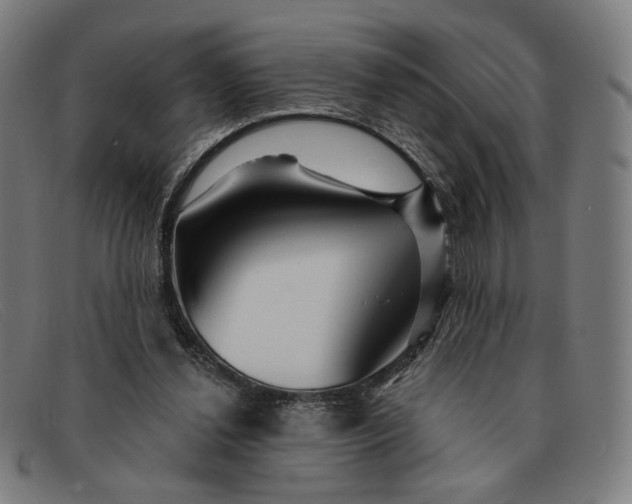 X0000091310252200708311402