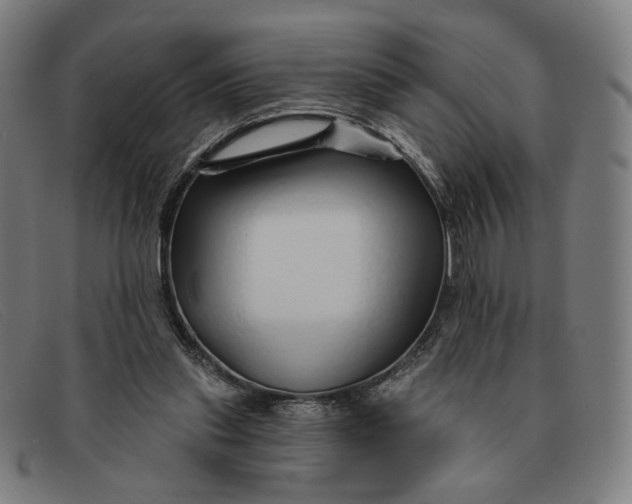 X0000091310253200708311402