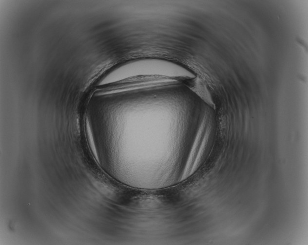 X0000091310254200708311402