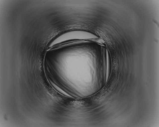 X0000091310255200708311402