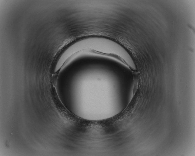 X0000091310256200708311402