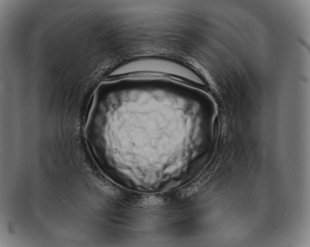 X0000091310257200708311402