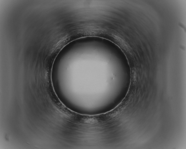 X0000091310258200708311402