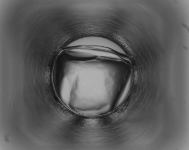 X0000091310259200708311402