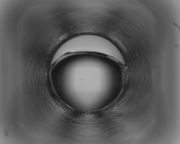 X0000091310260200708311402