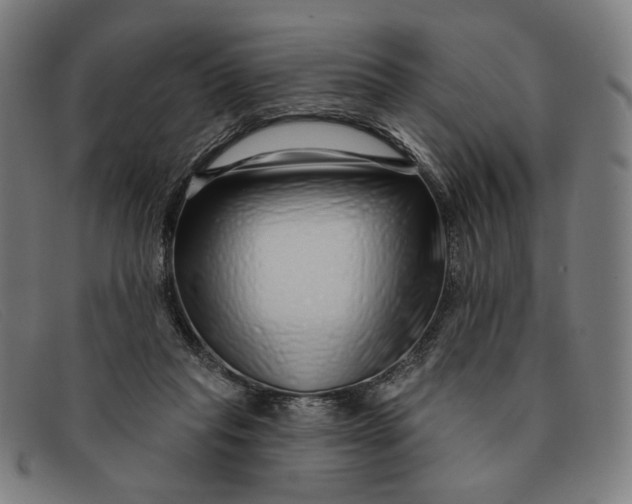 X0000091310261200708311402