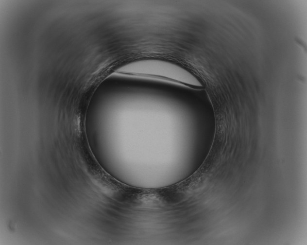 X0000091310262200708311402