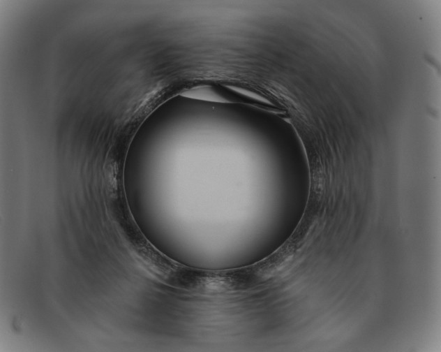 X0000091310264200708311403